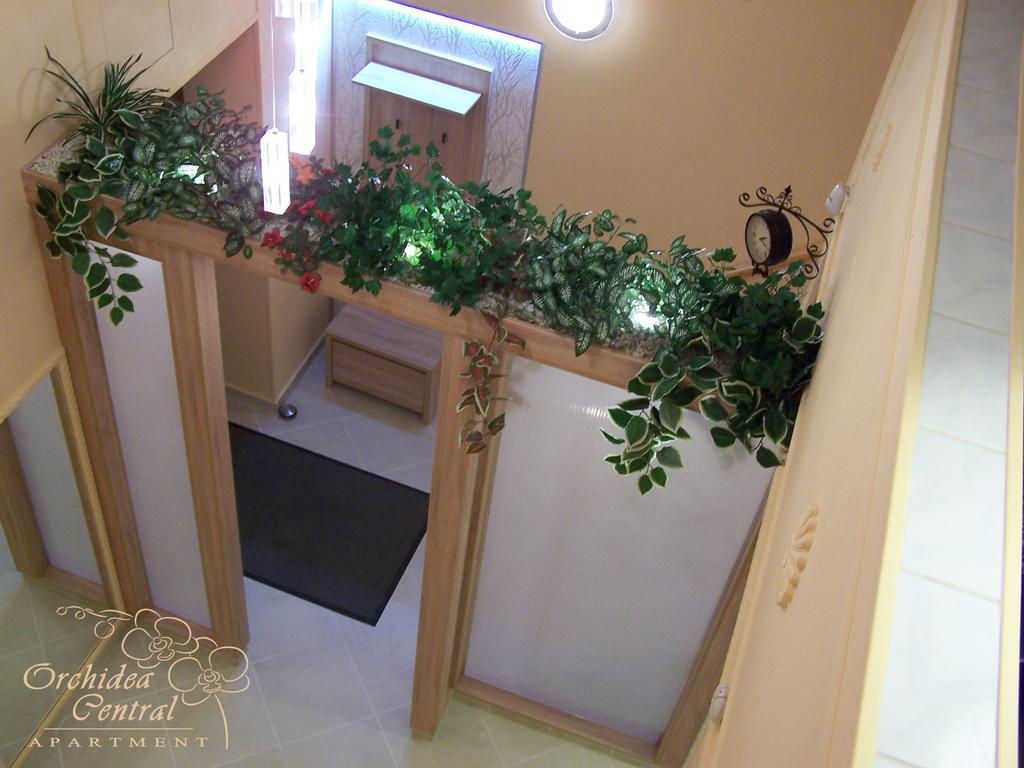 Orchidea Central Apartment Budapeste Exterior foto